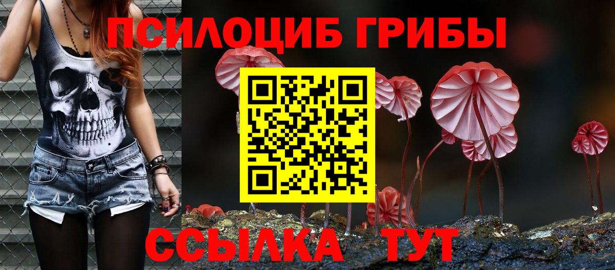 Кировск  Псилоцибиновые грибы мицелий  Вход с VPN  купить   Псилоцибиновые грибы Psilocybe 