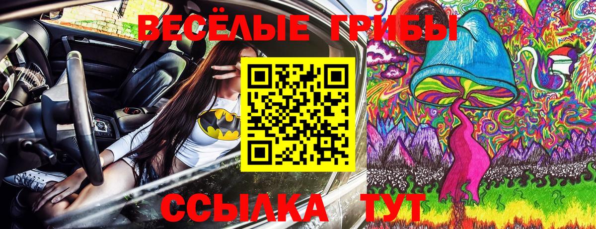 Галлюциногенные грибы GOLDEN TEACHER Кировск